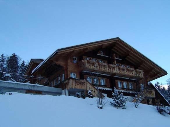 Chalet Spinne Grindelwald Zewnętrze zdjęcie