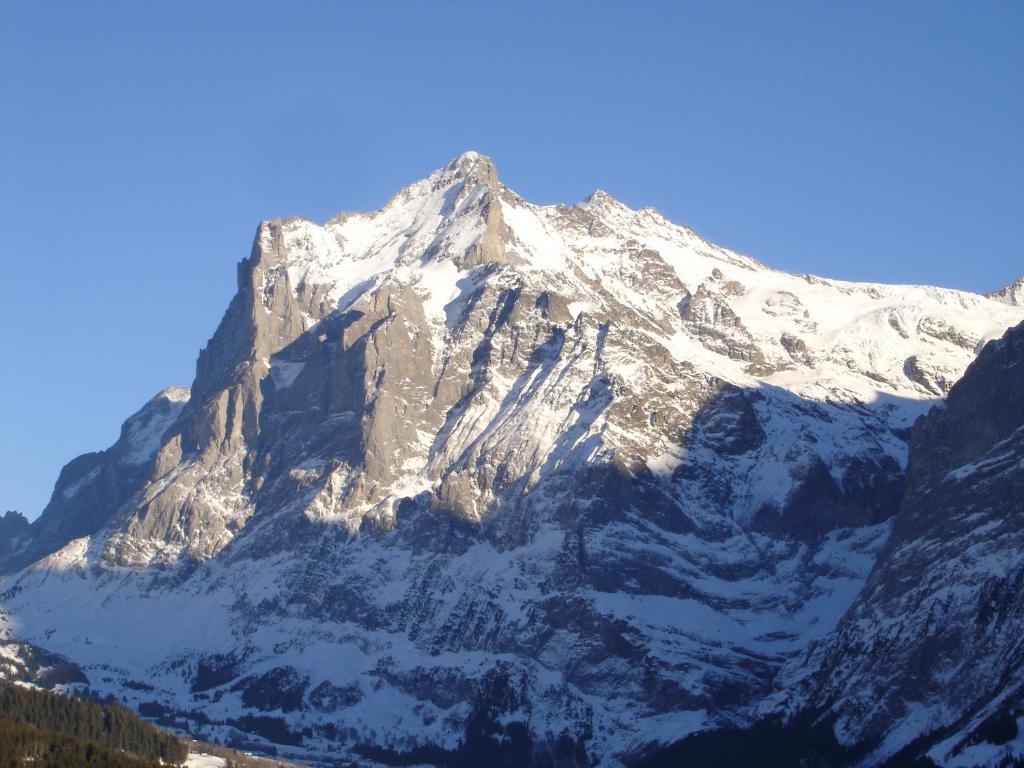 Chalet Spinne Grindelwald Pokój zdjęcie